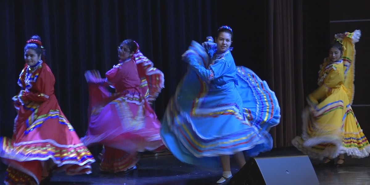 The 28th annual Springfield Multicultural Festival brings culture and community together [Video]