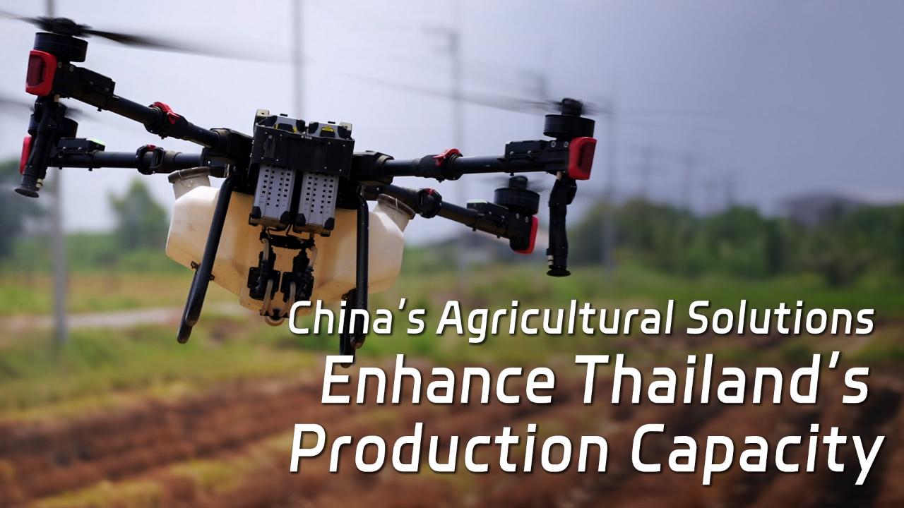 China’s Agricultural Solutions Enhance Thailand’s Production Capacity [Video]