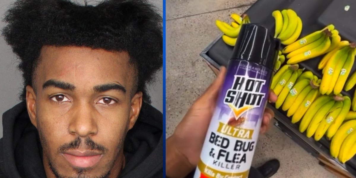 Influencer Charged After Allegedly Spraying Pesticide on Walmart Food [Video]