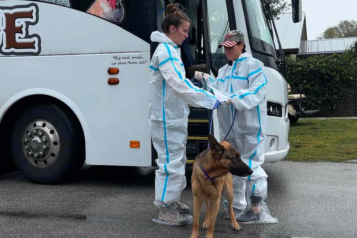 Florida Animal Shelter Rescue 78 Dogs from L.A. Fires and Texas Freezing Temperatures [Video]