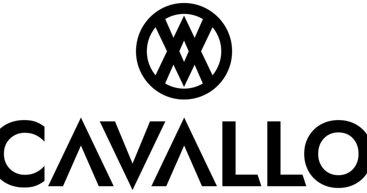 Cavallo Unveils New Customer Analytics Capabilities in Its Order Intelligence Platform | PR Newswire [Video]