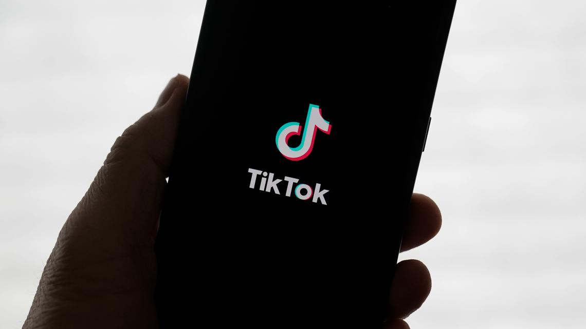 TikTok sale proposal: Perplexity AI bid could give government 50% stake [Video]